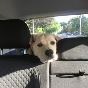 Meet your Posher, Amy